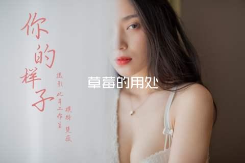 草莓的用处
